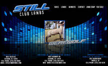 Still Club Lambs